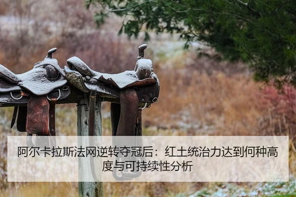 a-er-ka-la-si-fa-wang-ni-zhuan-duo-guan-hou-hong-tu-tong-zhi-li-da-dao-he-zhong-gao-du-yu-ke-chi-xu-xing-fen-xi-2-821.jpg