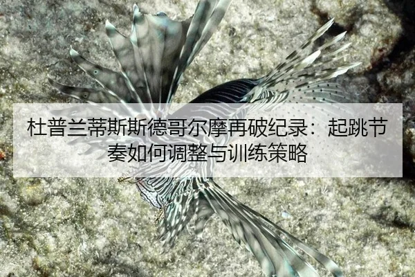 杜普兰蒂斯斯德哥尔摩再破纪录：起跳节奏如何调整与训练策略